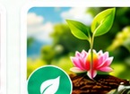 Environmental service